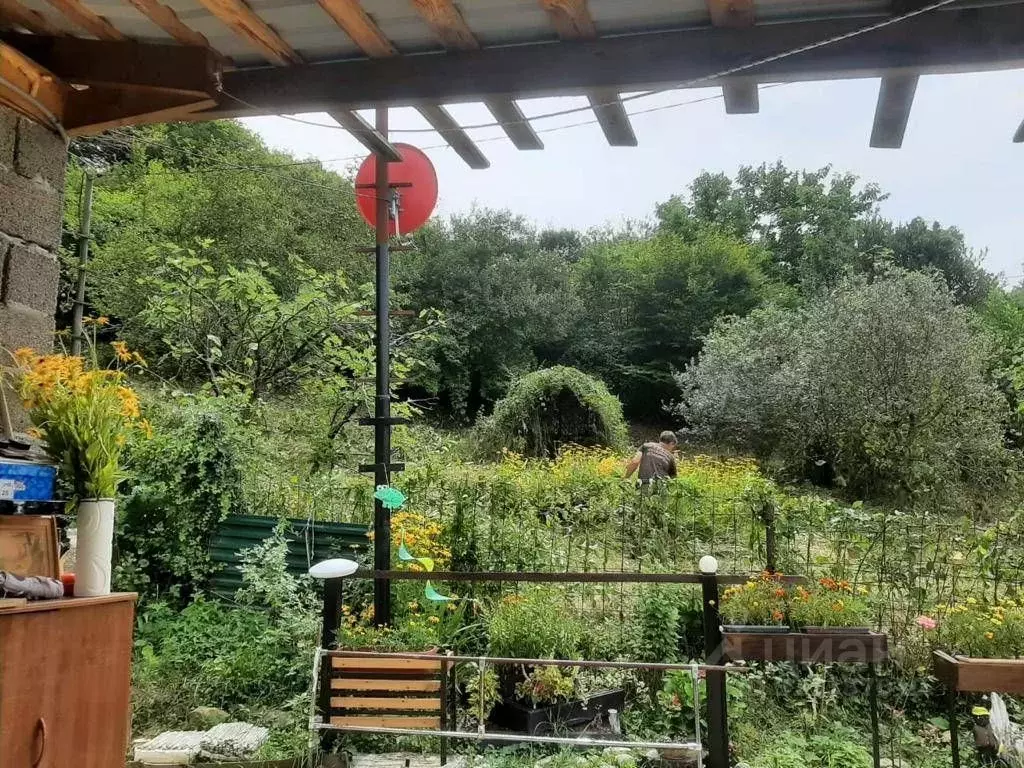 Участок в Краснодарский край, Сочи Северная Пальмира СТ,  (7.0 сот.) - Фото 1