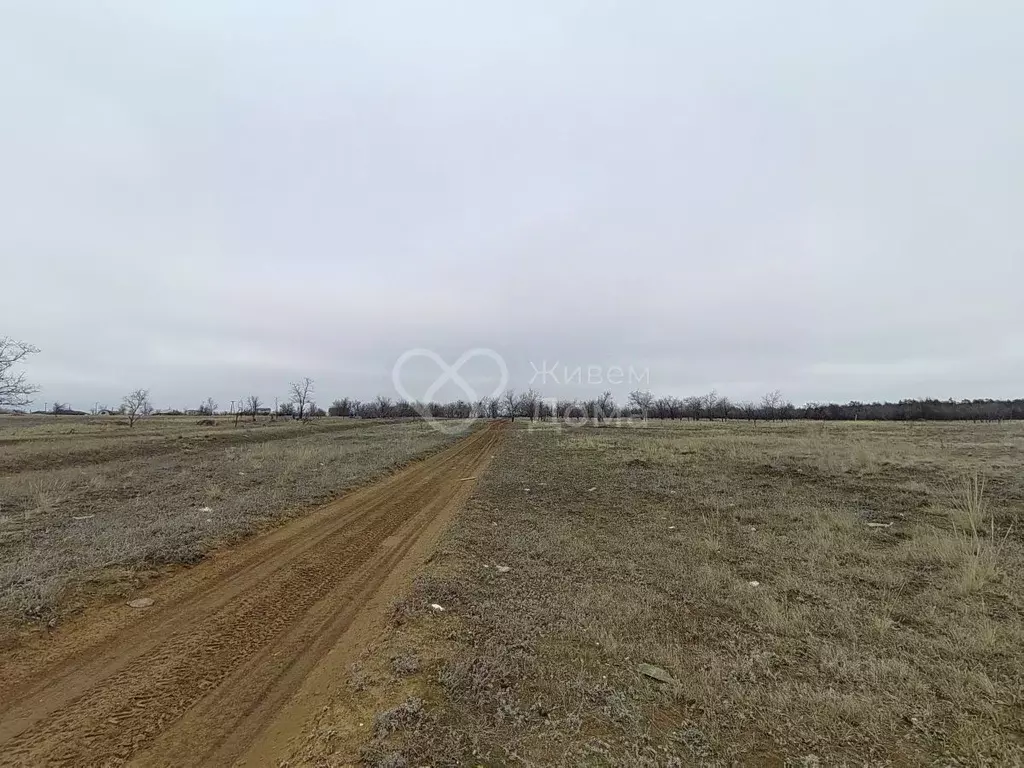Участок в Волгоградская область, Городищенский район, Царицынское ... - Фото 1