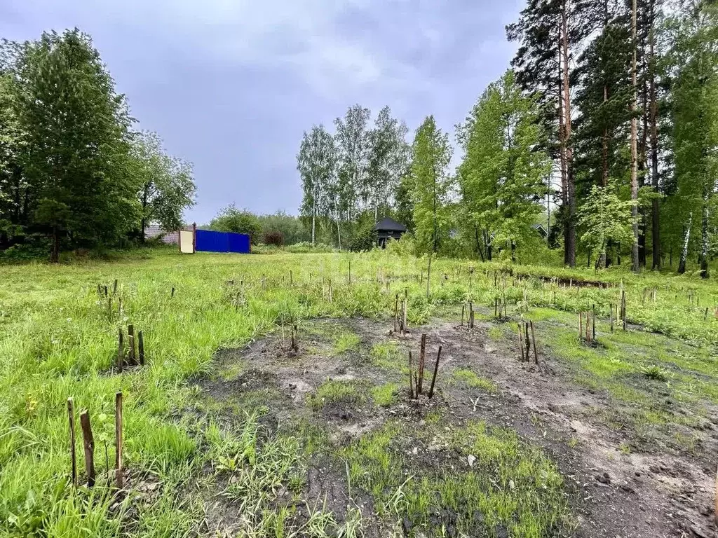 Участок в Новосибирская область, Новосибирский район, Барышевский ... - Фото 1