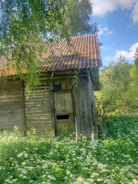 Дом в Псковская область, Печорский муниципальный округ, д. Декшино  ... - Фото 1