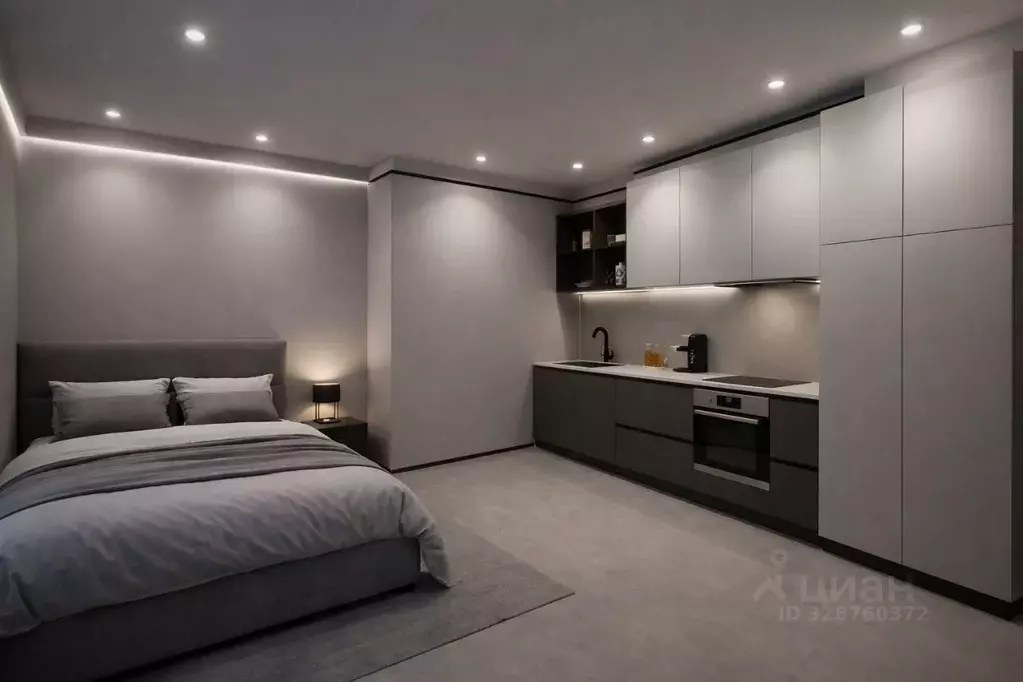 Студия Москва Весковский пер., 3 (22.0 м) - Фото 1