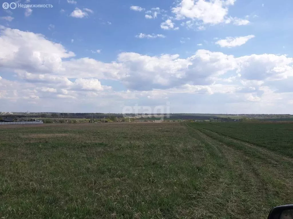 Участок в Лямбирский район, Пензятское сельское поселение, село ... - Фото 1