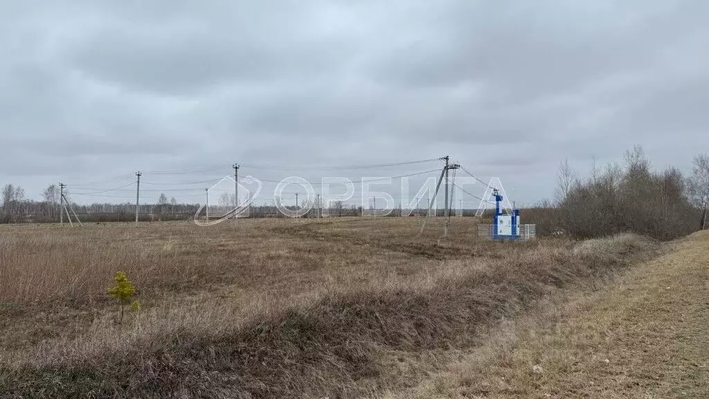 участок в тюменская область, тюменский район, с. горьковка (200.0 . - Фото 1