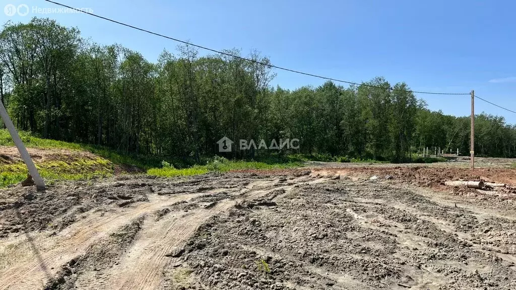 Участок в Ярославская область, Рыбинский муниципальный округ, деревня ... - Фото 1
