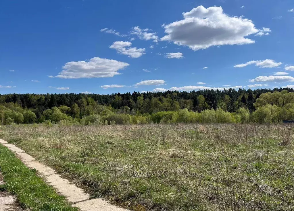 Участок, 16 сот., поселения (ижс) - Фото 1