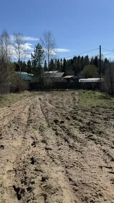 Участок в Пермский край, Добрянский муниципальный округ, д. Заборье ... - Фото 1