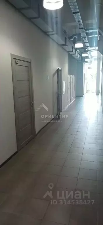 Офис в Свердловская область, Екатеринбург ул. Студенческая, 11 (25 м) - Фото 2