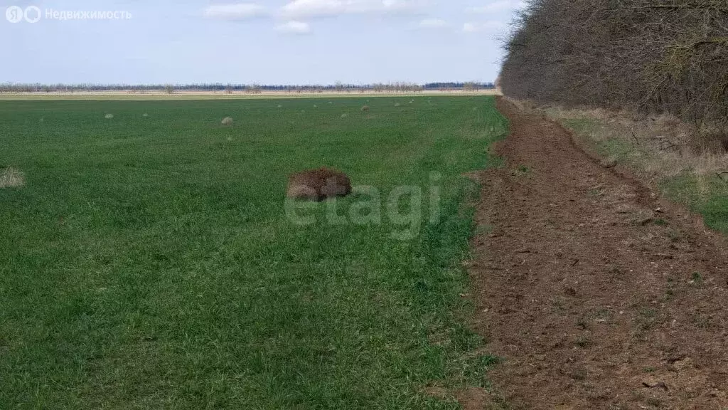 Участок в Сакский район, село Ромашкино (6 м) - Фото 1