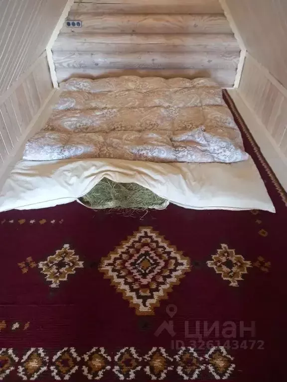 Дом в Воронежская область, Новоусманский район, Хреновское с/пос, с. ... - Фото 2