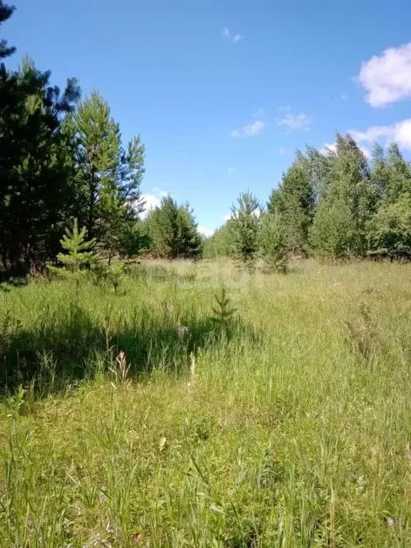 Участок в Свердловская область, Белоярский городской округ, с. ... - Фото 0