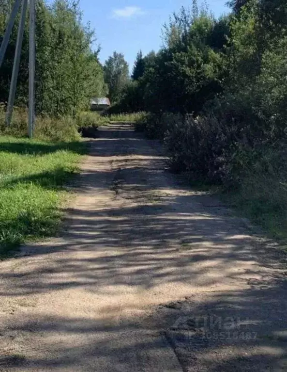 Участок в Ярославская область, Переславль-Залесский муниципальный ... - Фото 1