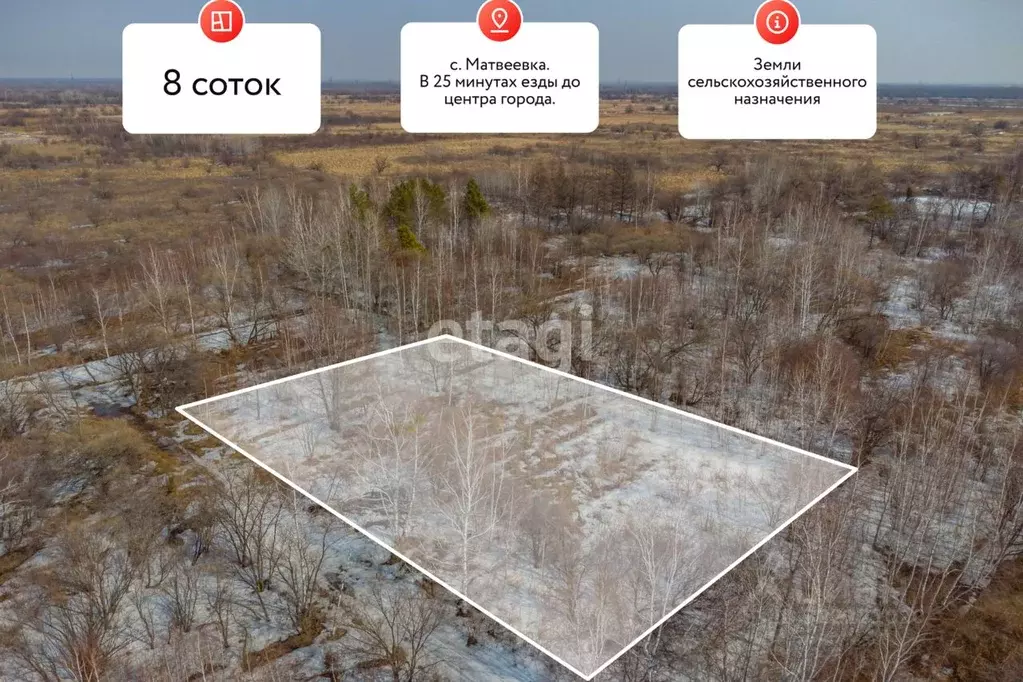 Участок в Хабаровский край, Хабаровский район, Тополевское с/пос, ... - Фото 1