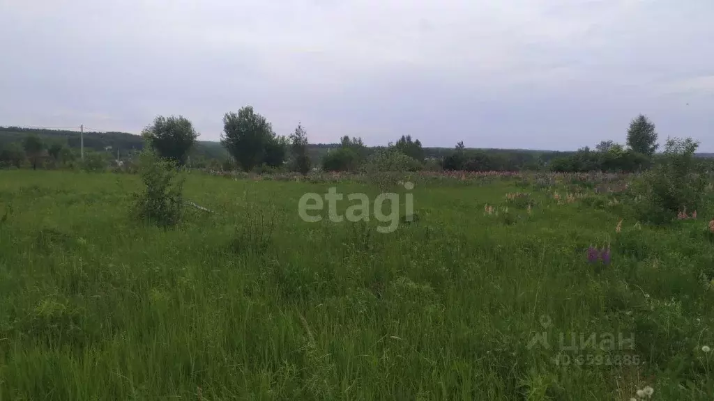 Участок в Тульская область, Тула Березовая Роща СНТ, (10.0 сот.) - Фото 1