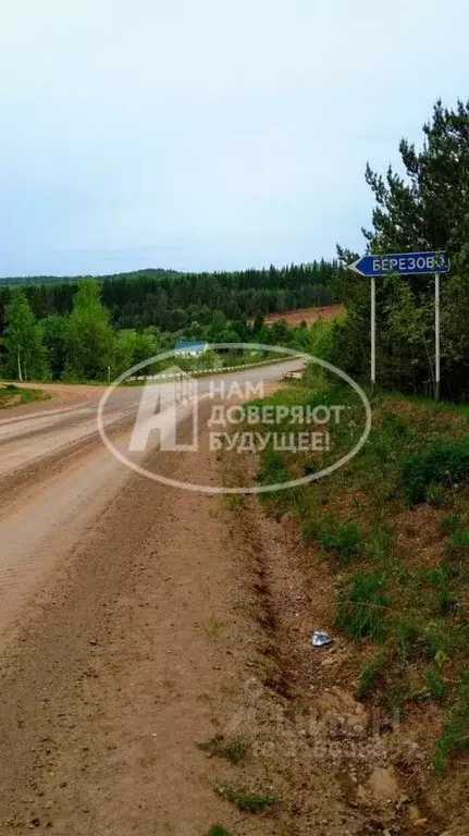 Участок в Пермский край, Очерский городской округ, д. Березово ул. ... - Фото 0