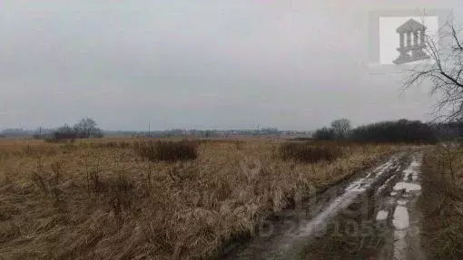 Участок в Калининградская область, Багратионовский муниципальный ... - Фото 0