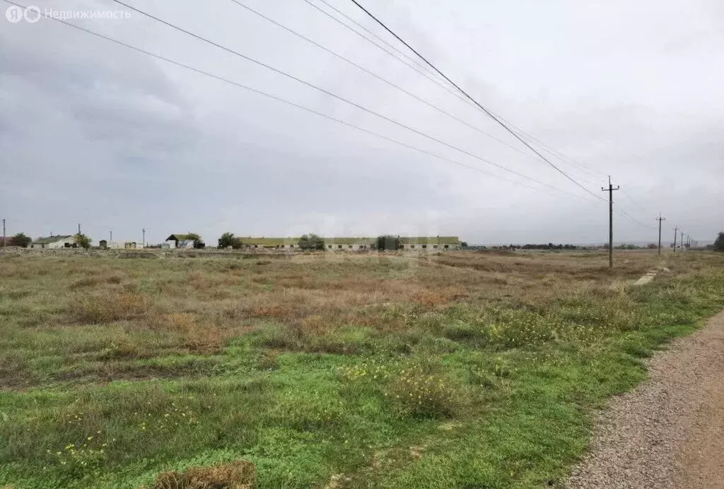 Участок в Черноморский район, Оленевское сельское поселение, село ... - Фото 2