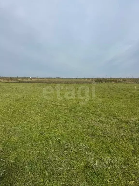 Участок в Калининградская область, Зеленоградский муниципальный округ, ... - Фото 2