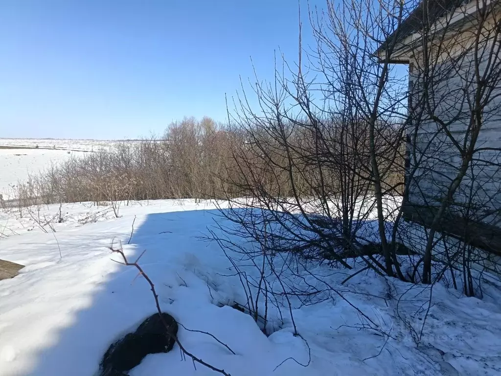 Дом в Нижегородская область, Дивеевский муниципальный округ, д. Маевка ... - Фото 1