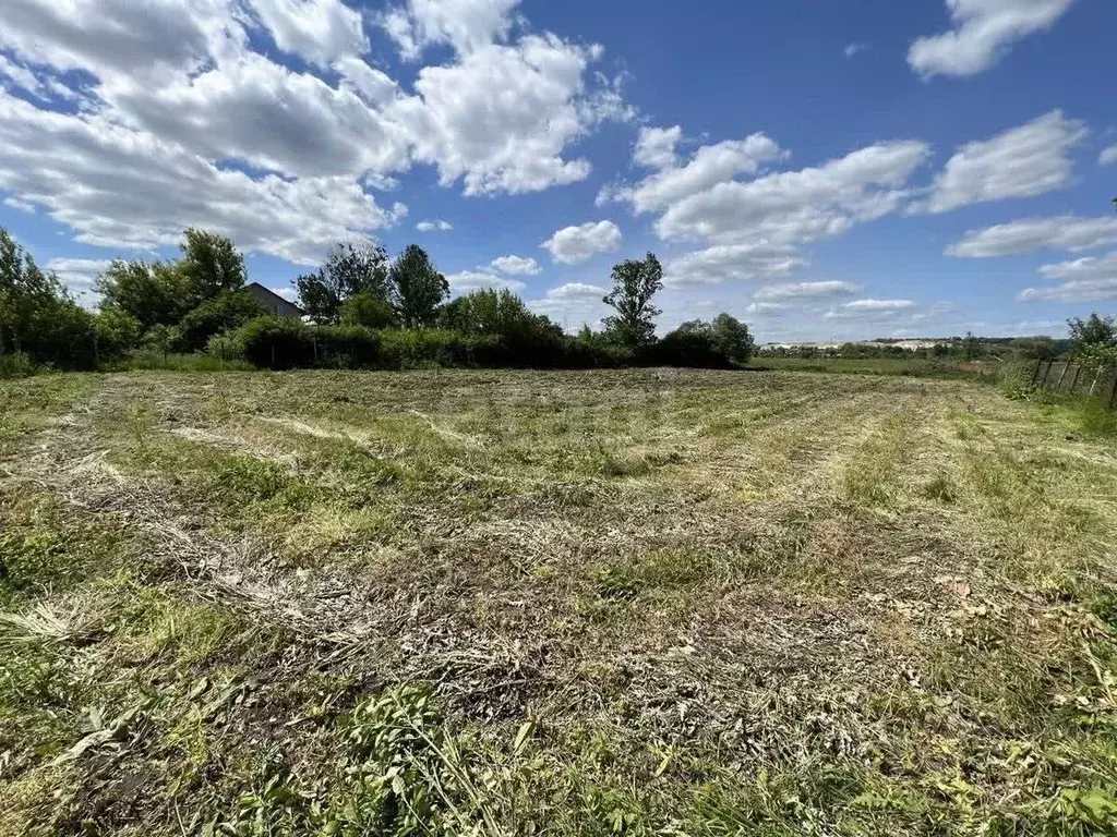 Участок в Белгородская область, Белгородский район, Беломестненское ... - Фото 1