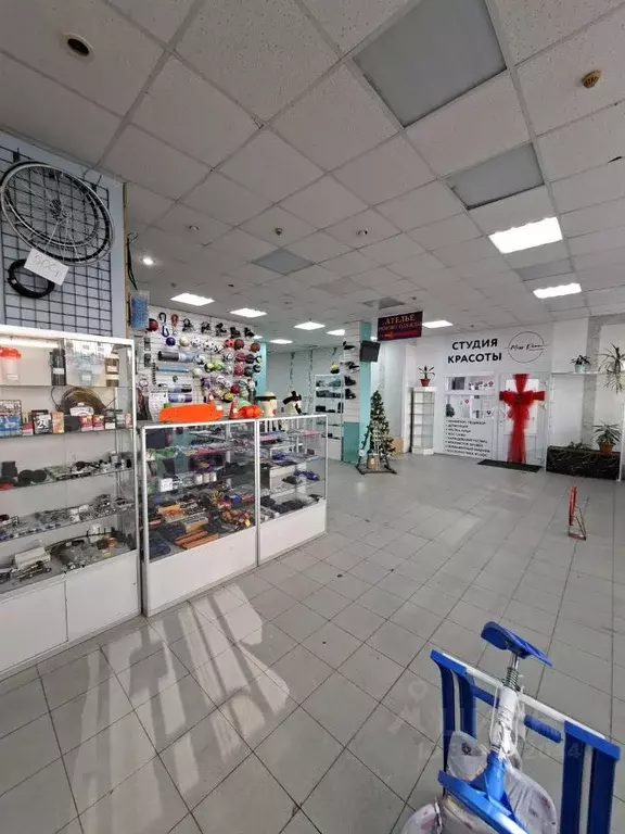 Торговая площадь в Москва Братиславская ул., 18К1 (250 м) - Фото 1