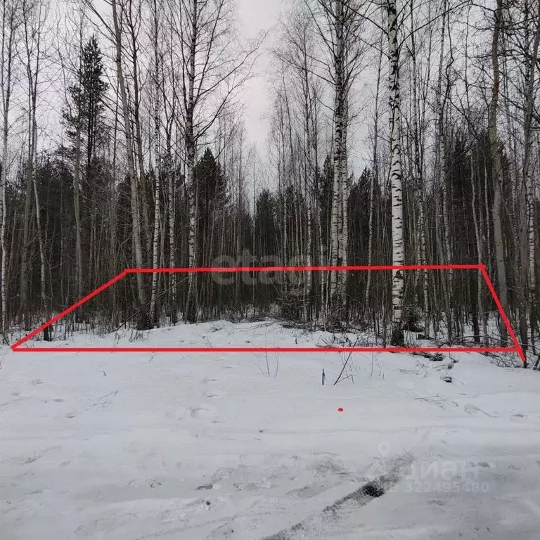 Участок в Вологодская область, Камыш садоводческое товарищество  (12.0 ... - Фото 2