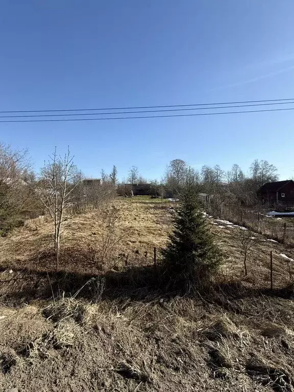 Участок в Ленинградская область, Ломоносовский район, Пениковское ... - Фото 2