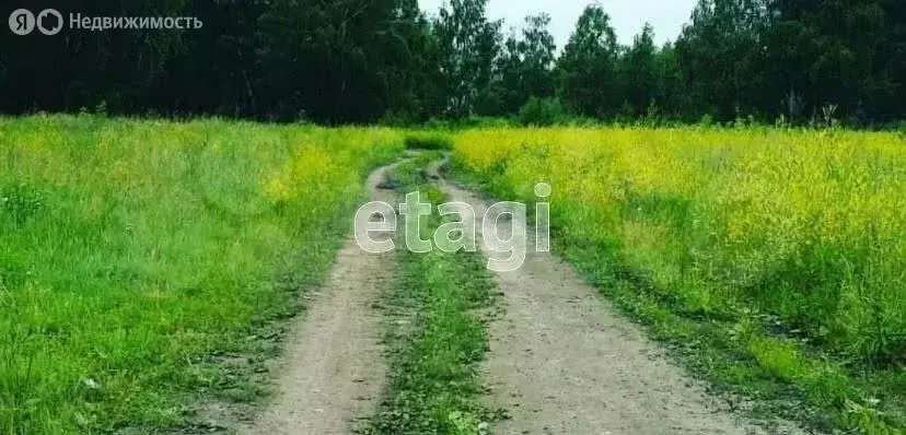 Участок в Новосибирск, СНТ Весна (6 м) - Фото 1