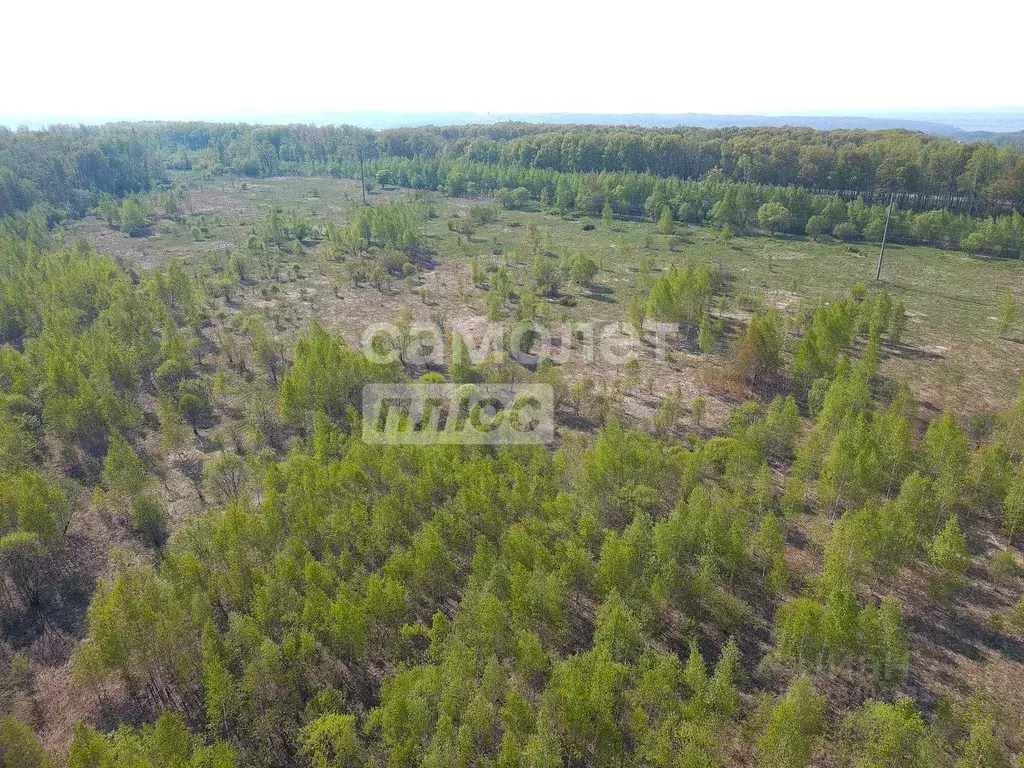 Участок в Хабаровский край, Хабаровский район, с. Некрасовка ул. Мира, ... - Фото 1