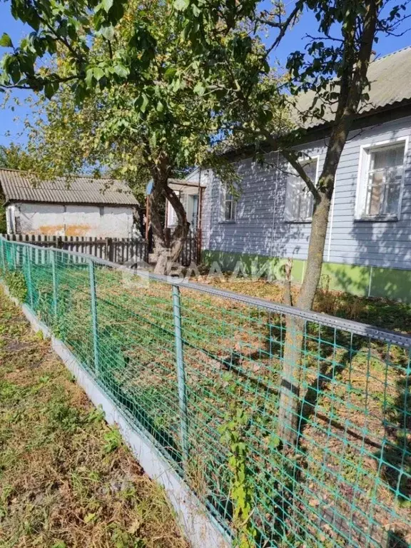 Дом в Воронежская область, с. Верхняя Хава  (50 м) - Фото 2