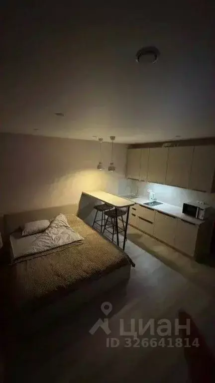 1-к кв. Московская область, Домодедово Южный мкр, ул. Курыжова, 16 ... - Фото 2