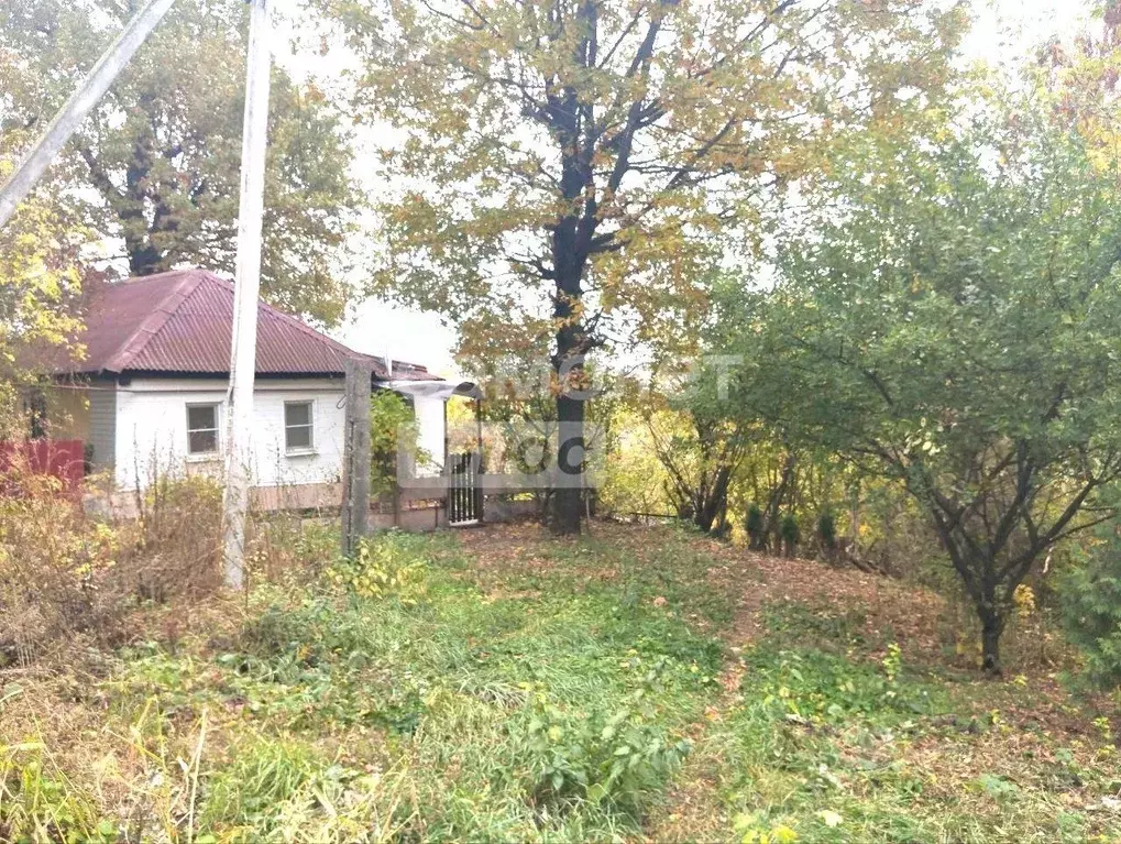 Дом в Курская область, Курск ул. Кольцова, 48 (55 м) - Фото 0