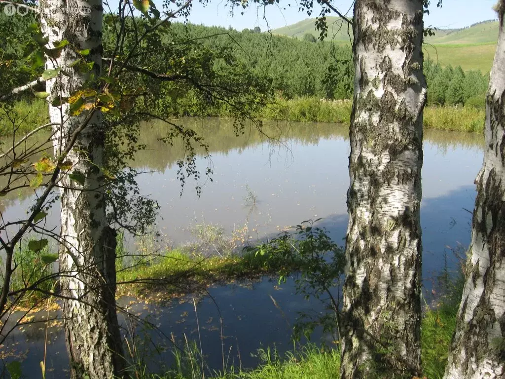 Участок в село Нижнекаянча, Центральная улица, 54 (19 м) - Фото 1