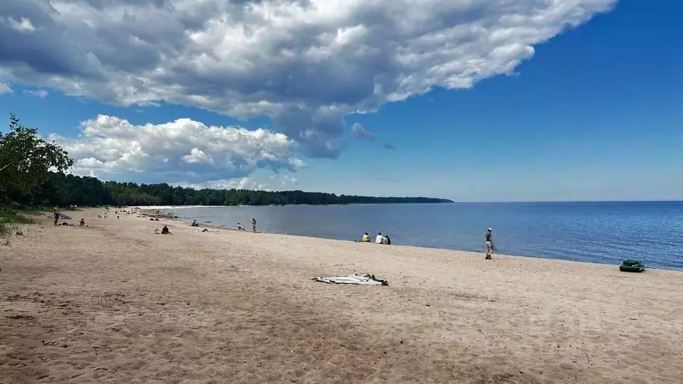 Дом в Ленинградская область, Всеволожский район, Рахьинское городское ... - Фото 1