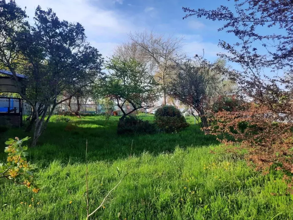 Участок в Ростовская область, Ростов-на-Дону Портовая ул., 400 (6.3 ... - Фото 1