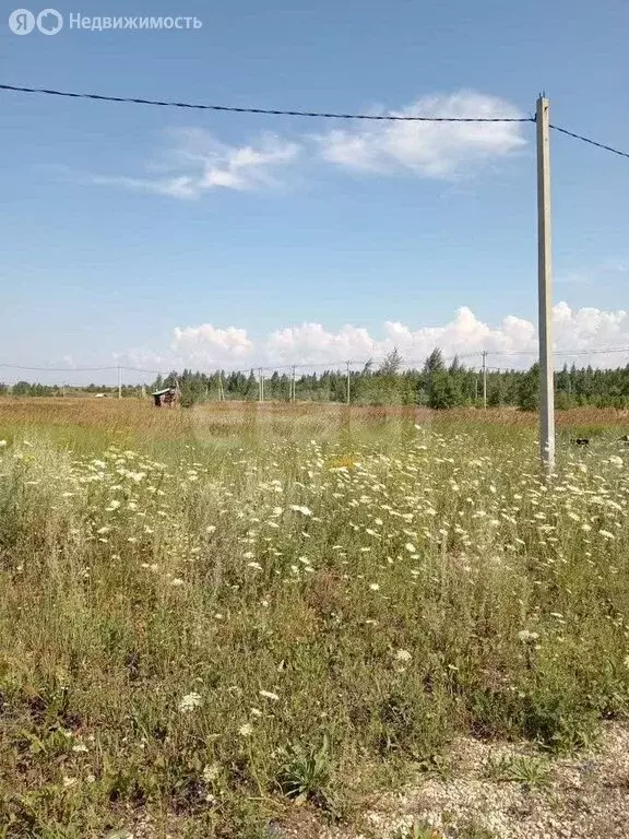 Участок в Липецкая область, Добровский муниципальный округ, село ... - Фото 1