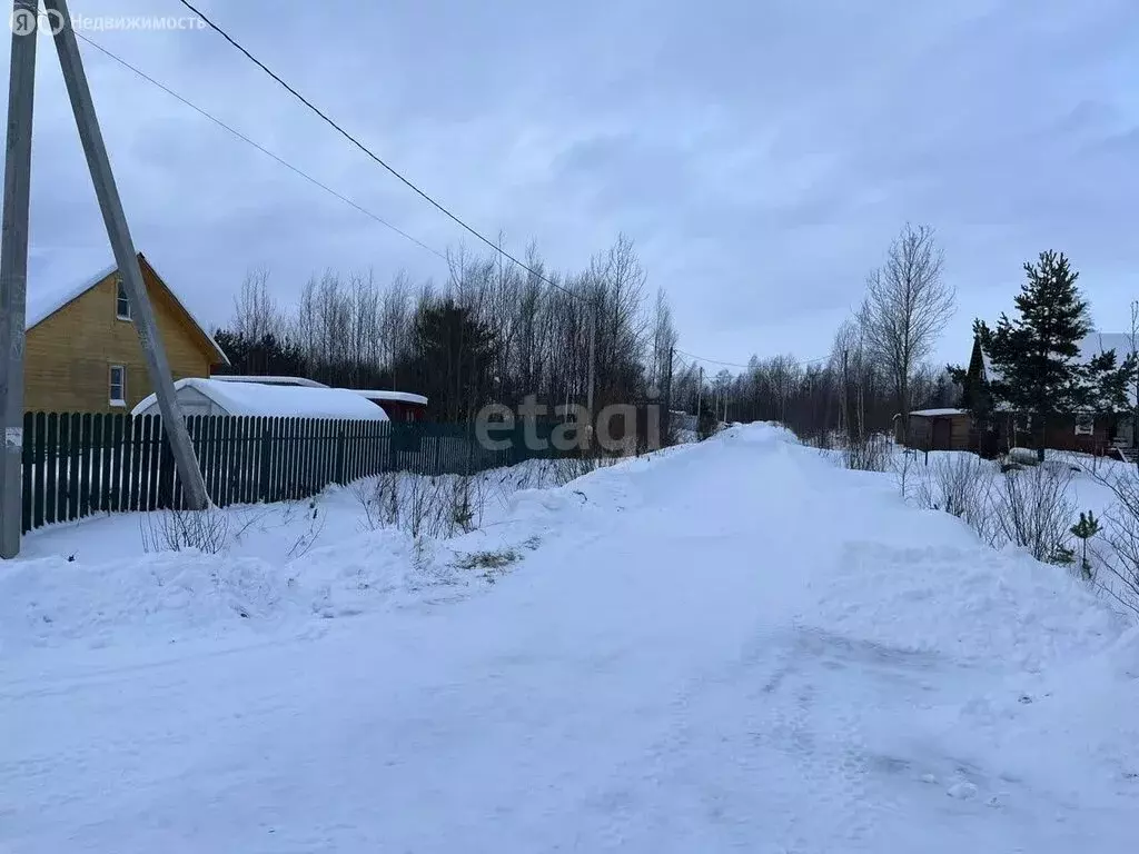 Участок в Лисинское сельское поселение, товарищество собственников ... - Фото 1