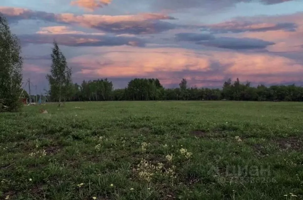 Участок в Тульская область, Веневский муниципальный округ, д. Алесово ... - Фото 1