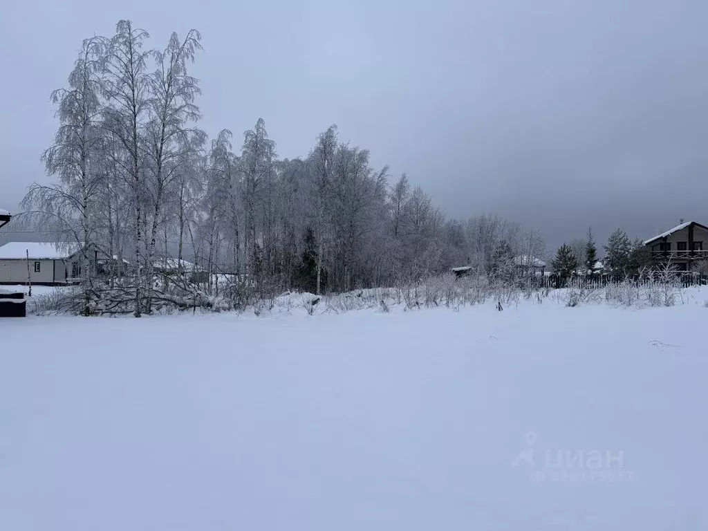 Участок в Ленинградская область, Всеволожский район, Лесколовское ... - Фото 1