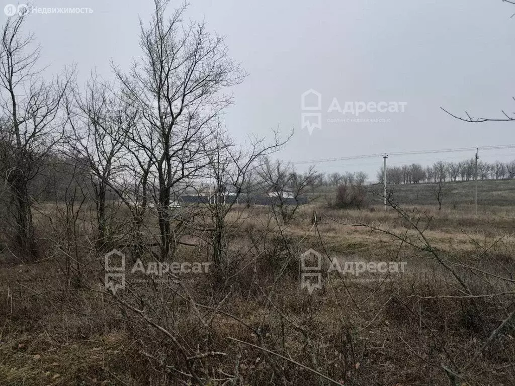 Участок в Городищенский район, Царицынское сельское поселение, посёлок ... - Фото 2