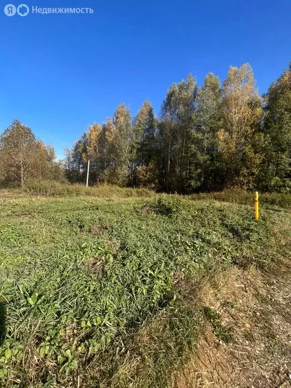 Участок в Киржачский район, муниципальное образование Першинское, СНТ ... - Фото 1