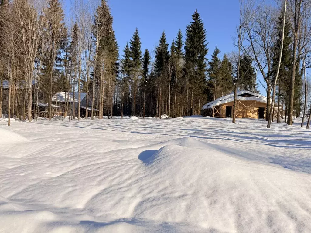 Участок в Московская область, Дмитровский муниципальный округ, д. ... - Фото 2