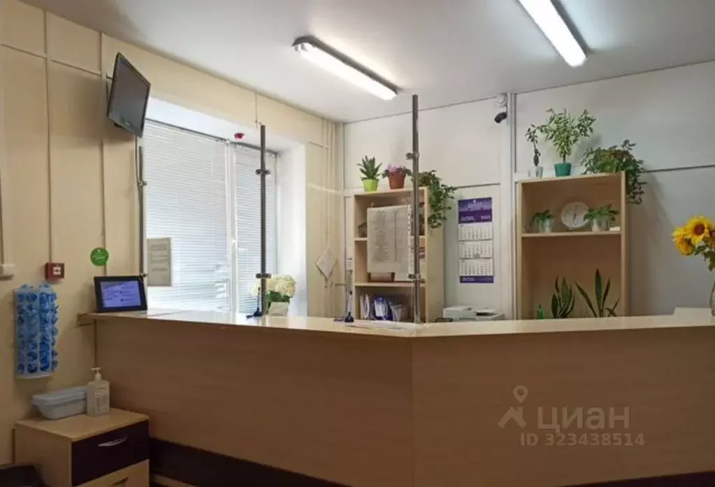 Помещение свободного назначения в Чувашия, Чебоксары ул. Богдана ... - Фото 2