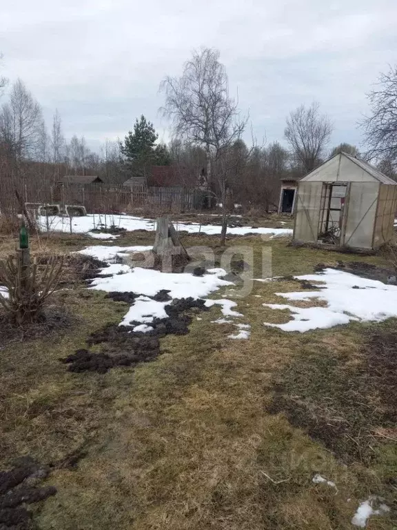 Дом в Ярославская область, Некрасовский муниципальный округ, д. ... - Фото 2
