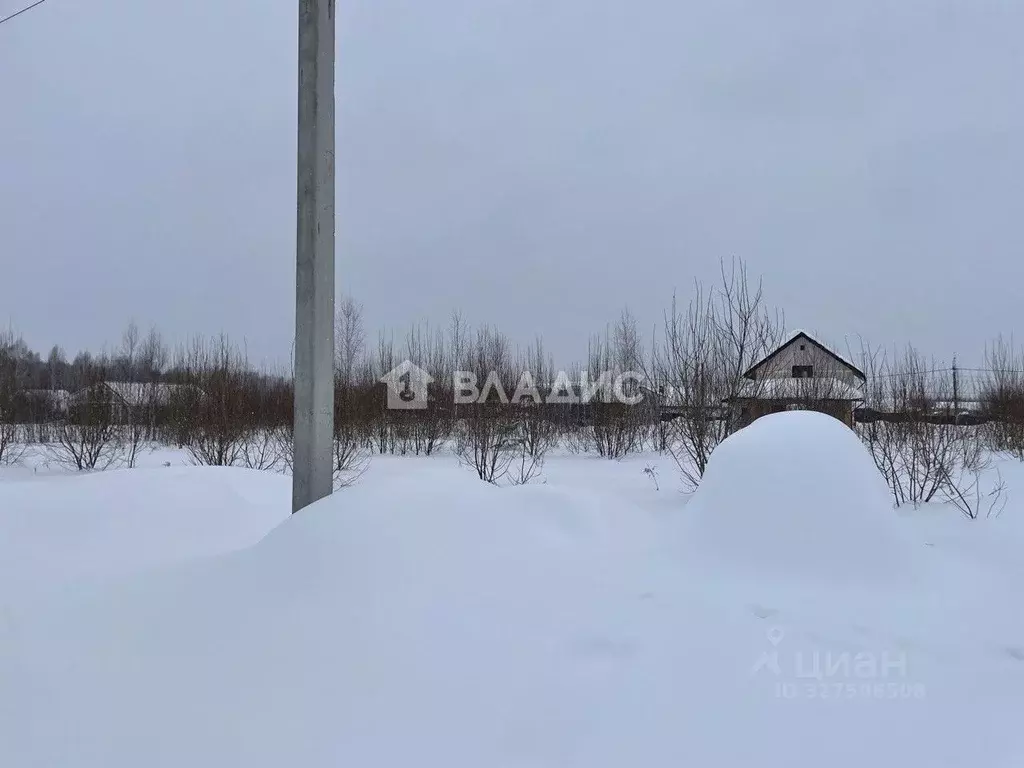 Участок в Нижегородская область, Нижний Новгород с. Елховка, ул. ... - Фото 1