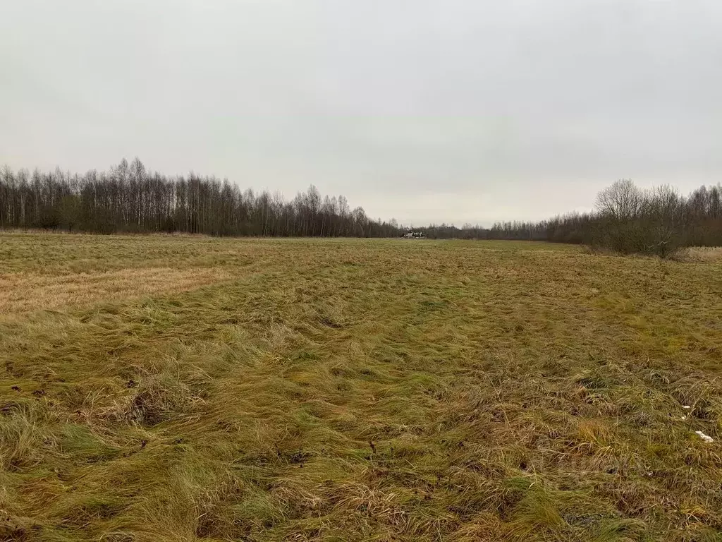 Участок в Тверская область, Кимрский муниципальный округ, д. Акулово  ... - Фото 2