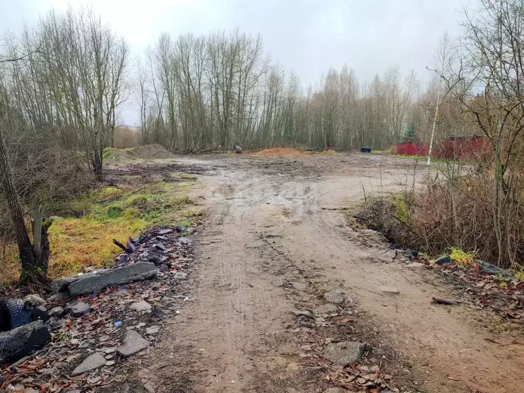 Участок в Вологодская область, Череповец Матуринская ул. (9.64 сот.) - Фото 1