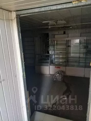 Помещение свободного назначения в Воронежская область, Воронеж ул. ... - Фото 1