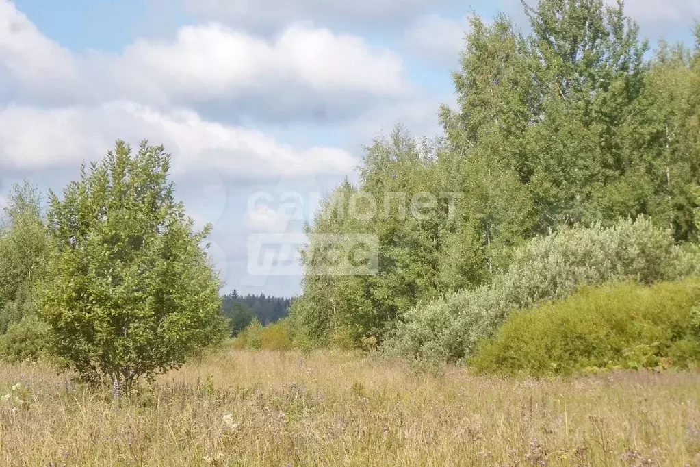 Участок 10 сот. (СНТ, ДНП) - Фото 1