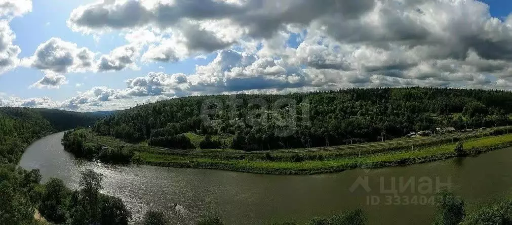 Участок в Пермский край, Кунгурский муниципальный округ, д. Закурья ... - Фото 1