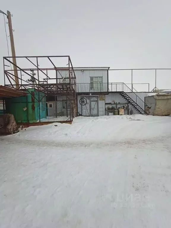 Помещение свободного назначения в Омская область, Черлак рп ул. ... - Фото 1